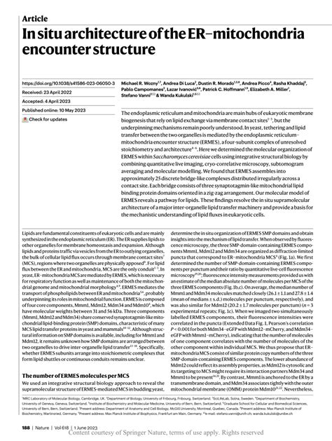 In situ architecture of the ER–mitochondria encounter structure.